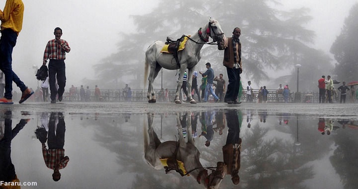 تصویر تصویر