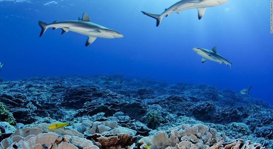 ده ذخیره‌گاه طبیعی در جهان +(تصاویر)