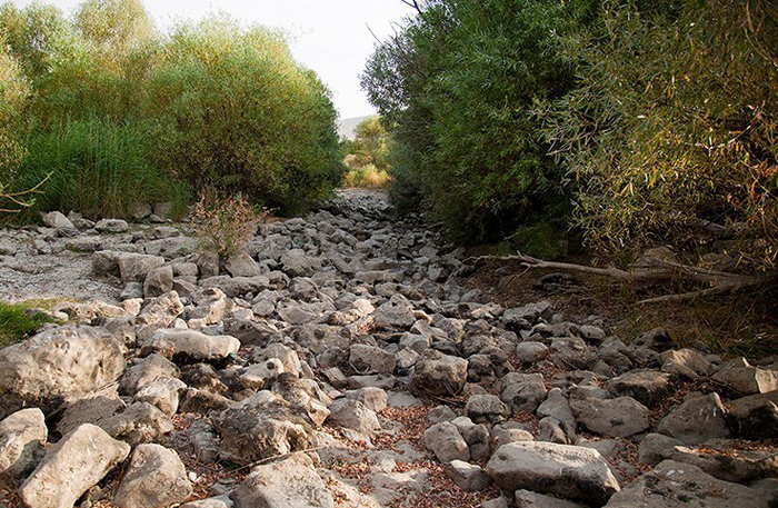(تصاویر) رودخانه (تصاویر) رودخانه