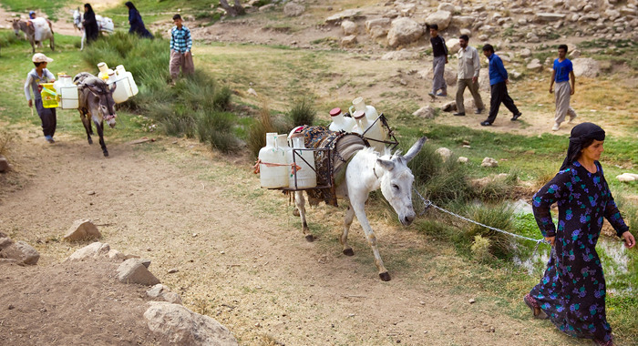تصویر تصویر