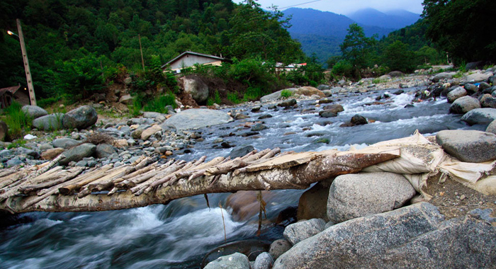 تصویر تصویر