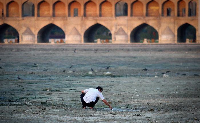 (تصاویر) نجات ماهیان زاینده رود (تصاویر) نجات ماهیان زاینده رود