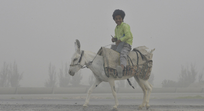 تصویر تصویر