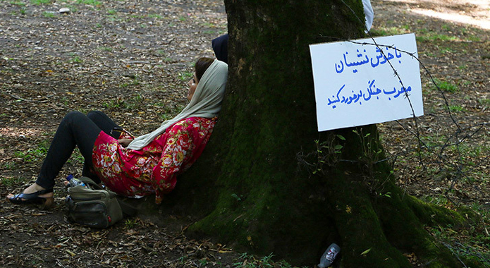 تصویر تصویر