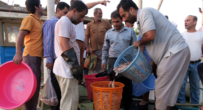 تصویر تصویر