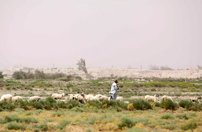 (تصاویر) خشکسالی و شنهای روان در سیستان (تصاویر) خشکسالی و شنهای روان در سیستان