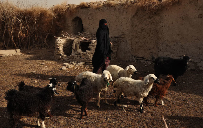 (تصاویر) خشکسالی در روستای (تصاویر) خشکسالی در روستای