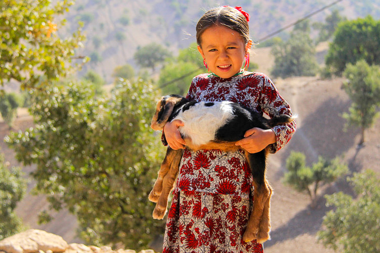 تصویر تصویر