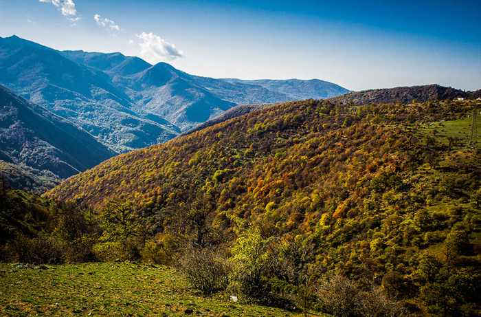 (تصاویر) پاییز طلایی جنگل ابر (تصاویر) پاییز طلایی جنگل ابر