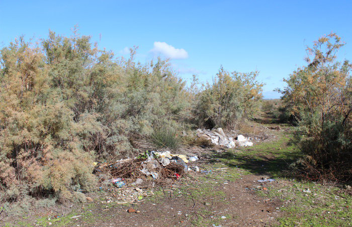(تصاویر)