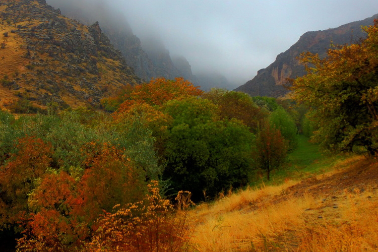 تصویر تصویر