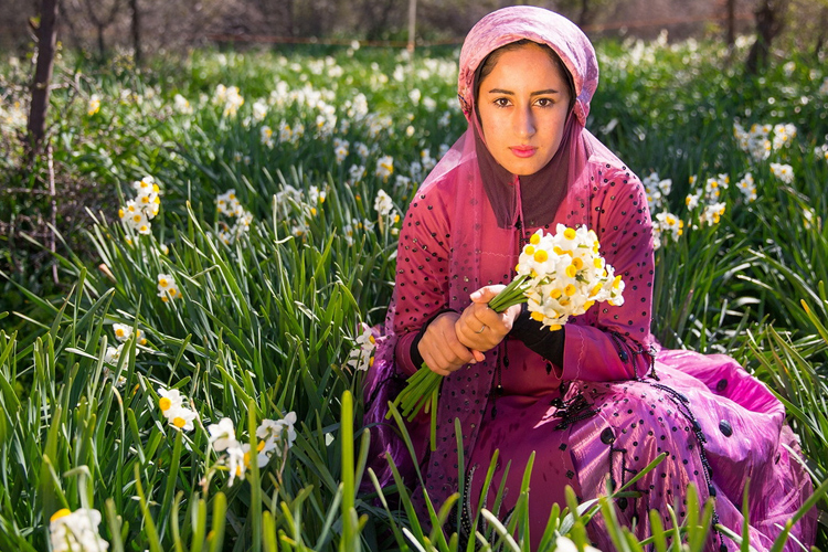 تصویر تصویر