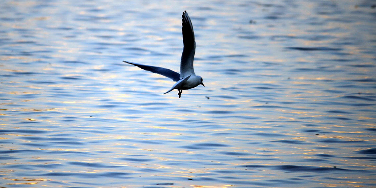 تشییع مرتضی پاشایی، تجمع علاقمندان مرتضی پاشایی، طبیعت زیبایی پاییزی، حریق طولانی در بازار و ... تشییع مرتضی پاشایی، تجمع علاقمندان مرتضی پاشایی، طبیعت زیبایی پاییزی، حریق طولانی در بازار و ...