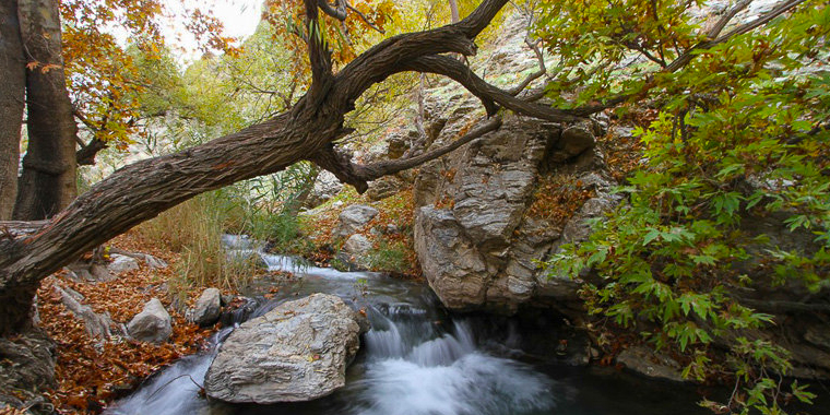 تشییع مرتضی پاشایی، تجمع علاقمندان مرتضی پاشایی، طبیعت زیبایی پاییزی، حریق طولانی در بازار و ... تشییع مرتضی پاشایی، تجمع علاقمندان مرتضی پاشایی، طبیعت زیبایی پاییزی، حریق طولانی در بازار و ...