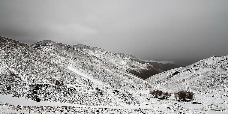 تصویر تصویر
