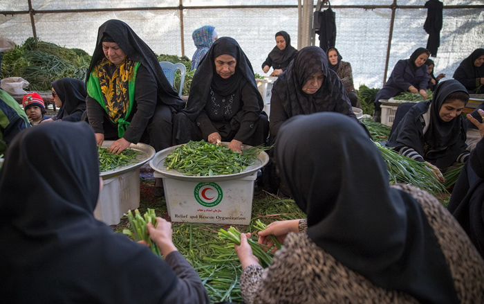 (تصاویر) طبخ آش 80 تنی در شیراز (تصاویر) طبخ آش 80 تنی در شیراز