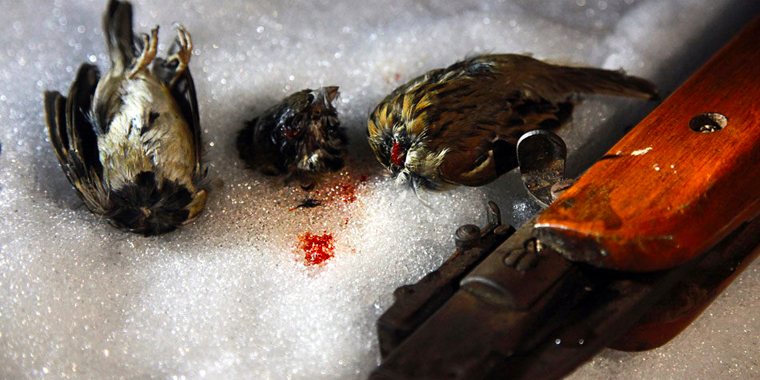 تصویر تصویر