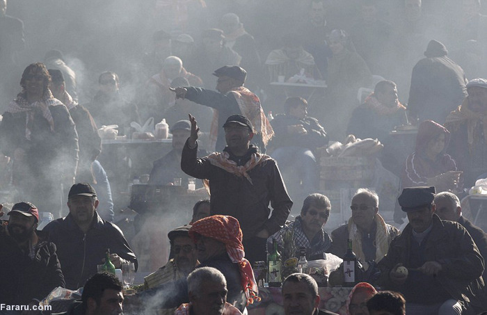 (تصاویر) کشتی شترها (تصاویر) کشتی شترها