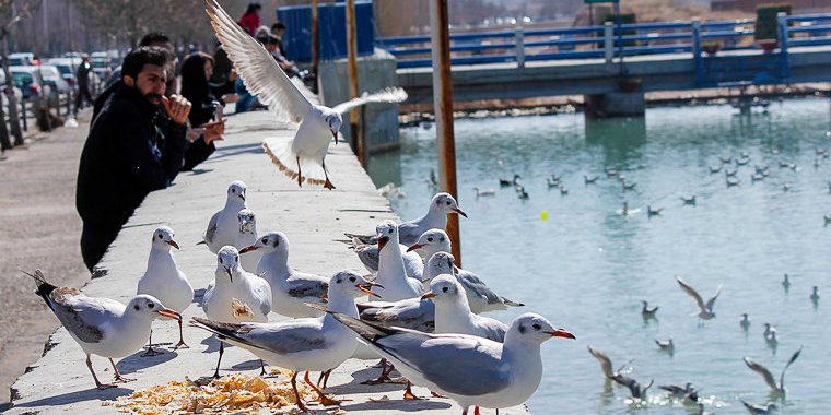 تصویر تصویر