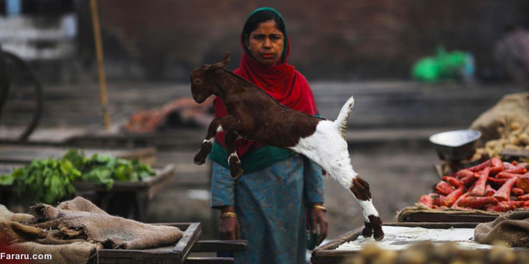 تصویر تصویر