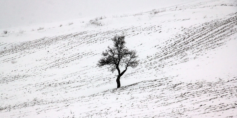 تصویر تصویر