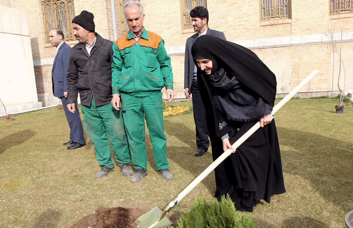(تصاویر) درختکاری ظریف و افخم (تصاویر) درختکاری ظریف و افخم