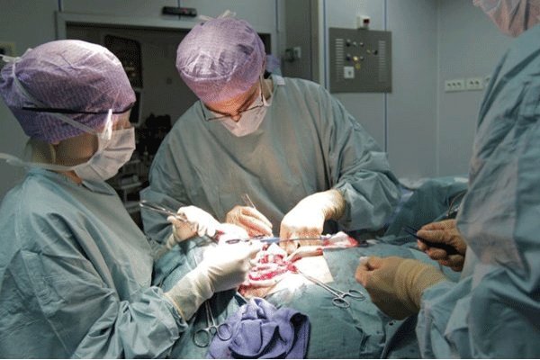 عجیبترین رخدادهای پزشکی در سالی که گذشت عجیبترین رخدادهای پزشکی در سالی که گذشت