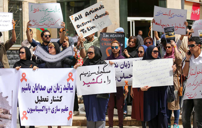 (تصاویر) اعتراض به سگکشی در شیراز (تصاویر) اعتراض به سگکشی در شیراز
