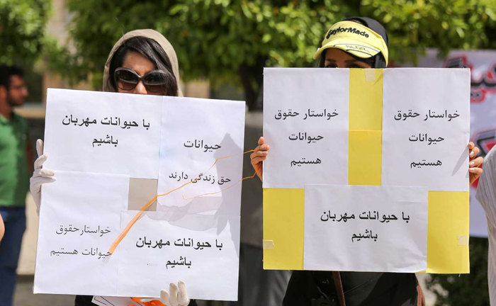(تصاویر) اعتراض به سگکشی در شیراز (تصاویر) اعتراض به سگکشی در شیراز