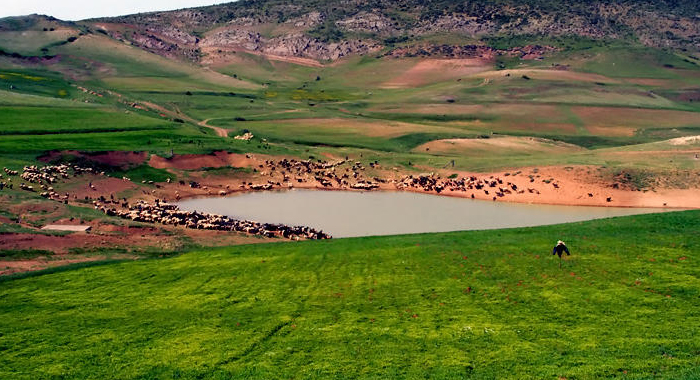 تصویر تصویر
