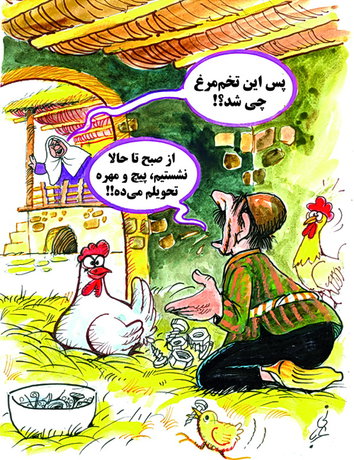 (کاریکاتور) فلزات در فرآورده‌های مرغی!