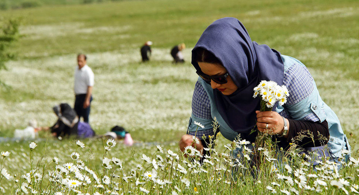 تصویر تصویر