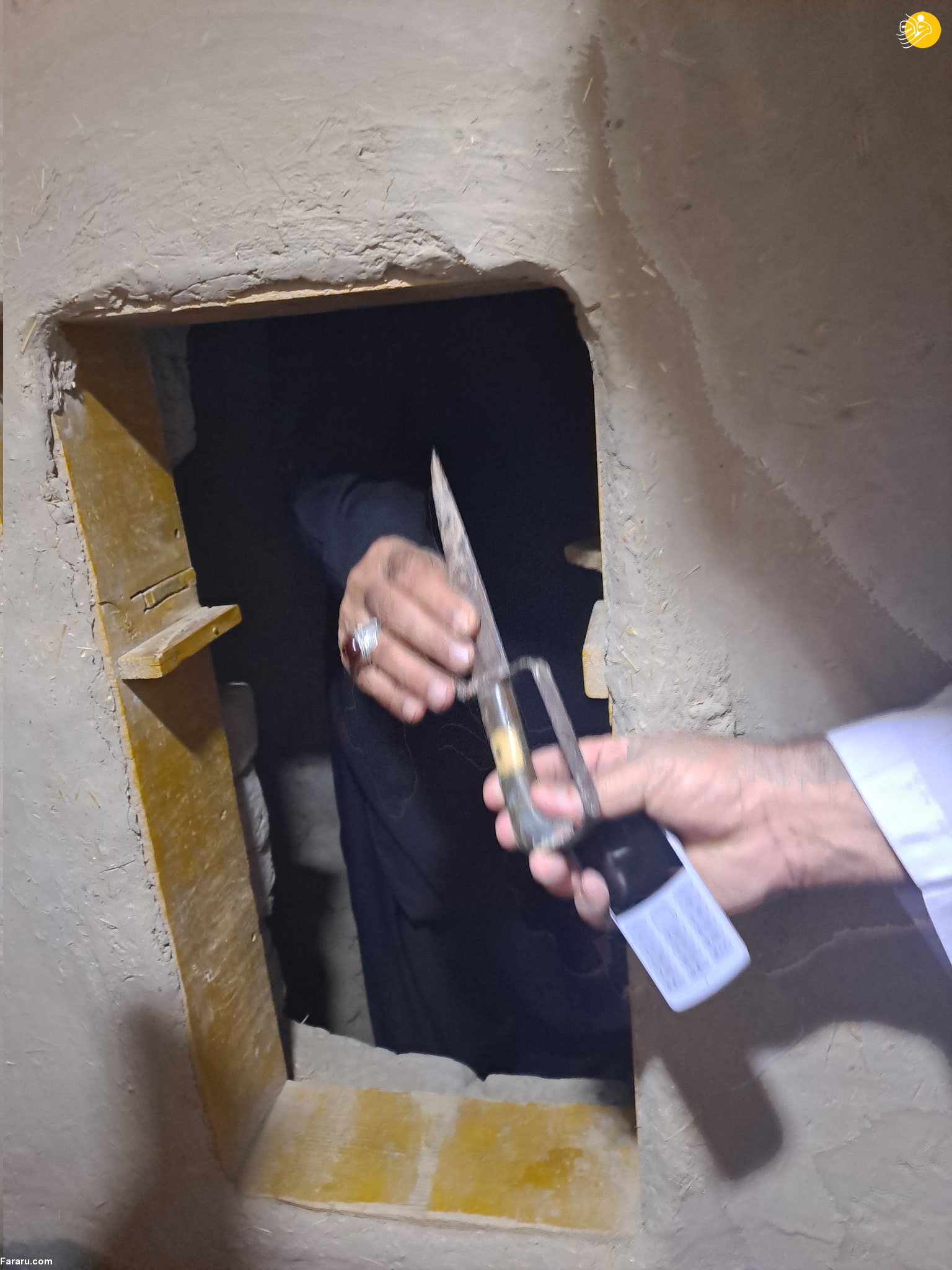 (تصاویر)