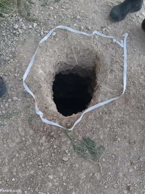 (تصاویر)