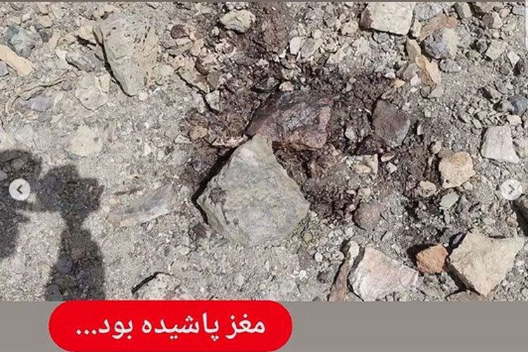 (تصاویر) روایتی تکان‌دهنده از اعدام ۸ غیرنظامی در پنجشیر
