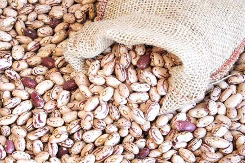 بهترین زمان خیساندن انواع حبوبات چه زمانی است؟ لوبیا چیتی