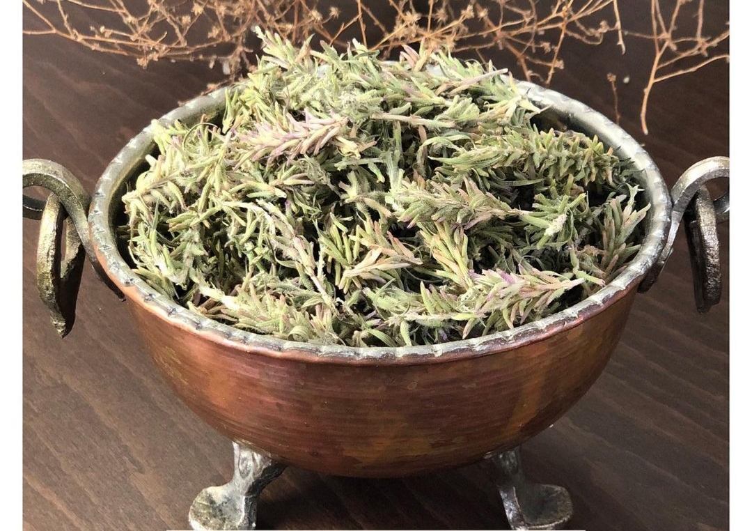 خواص گیاه کاکوتی
