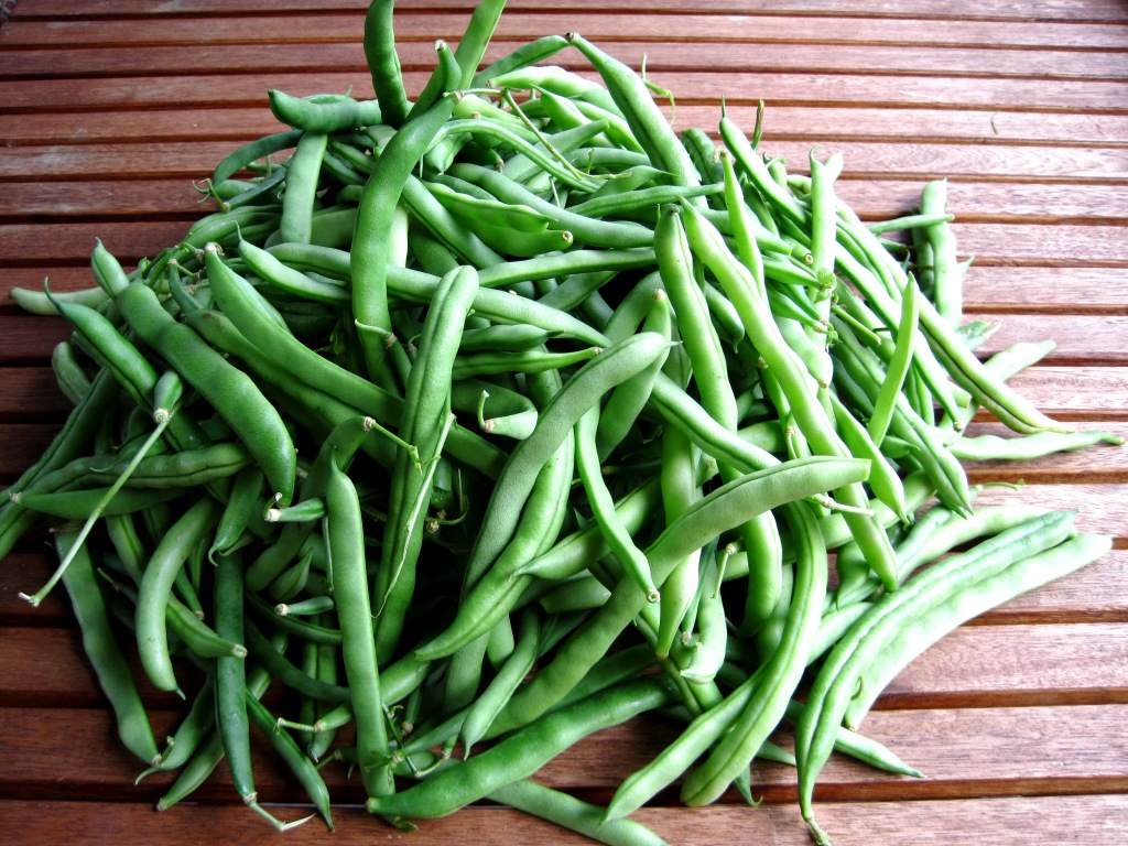لوبیا سبز
