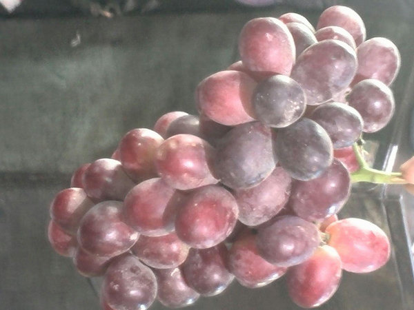 توزیع گسترده و شبانه میوه‌های خارجی در تهران/ مسئولان متعجب شدند