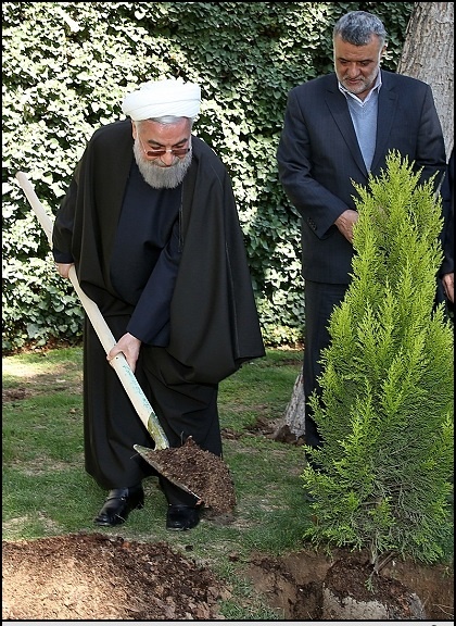 (تصاویر) همکاری روحانی، جهانگیری و ابتکار برای کاشت یک نهال