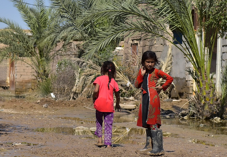 تصویر تصویر