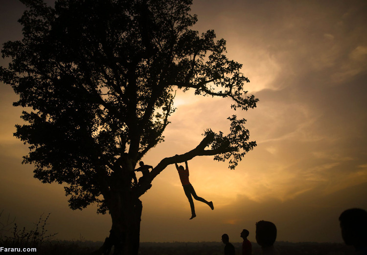 تصویر تصویر