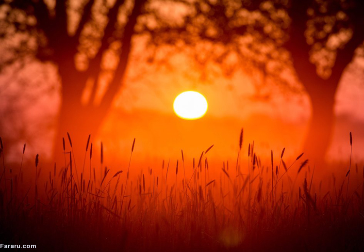 تصویر تصویر