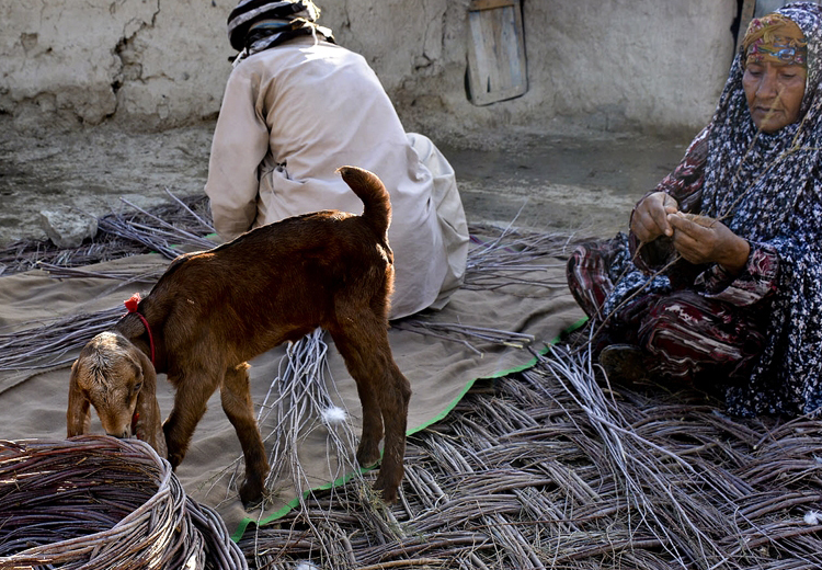 تصویر تصویر