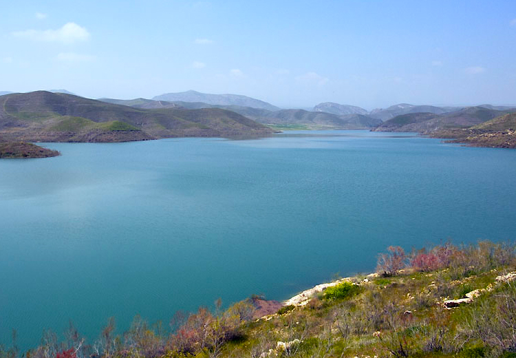 تصویر تصویر