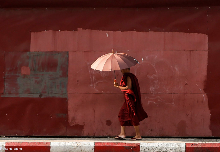 تصویر تصویر