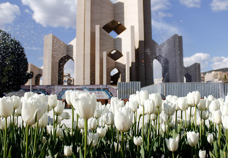 تصویر تصویر
