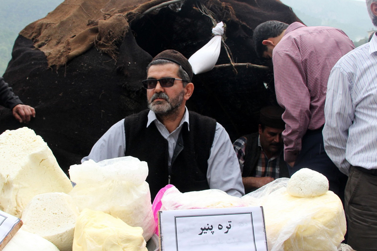 تصویر تصویر