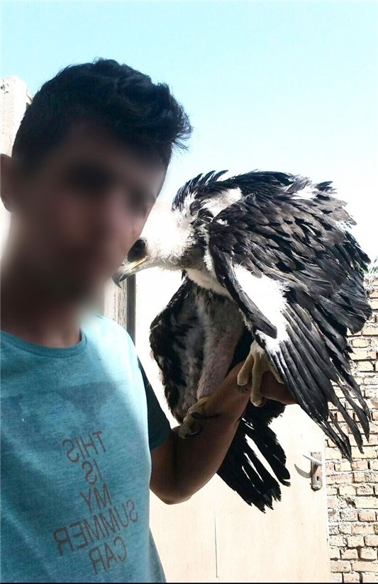 (تصاویر) جنایات