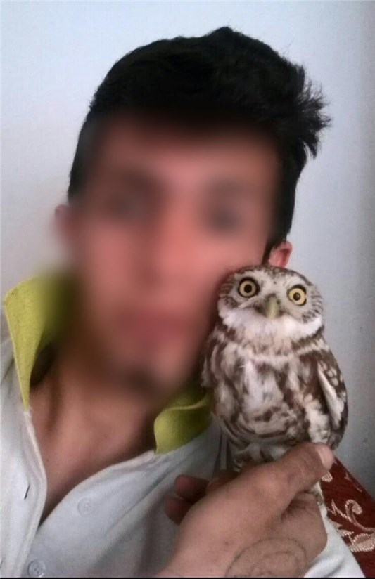 (تصاویر) جنایات